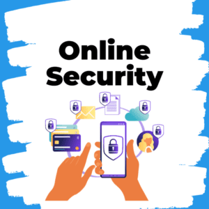 Online Security picture